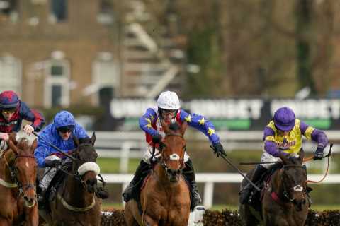 ‘I’ll be disappointed if he isn’t in the first four’ – Nicholls team eye Supreme at Cheltenham with exciting Tahmuras