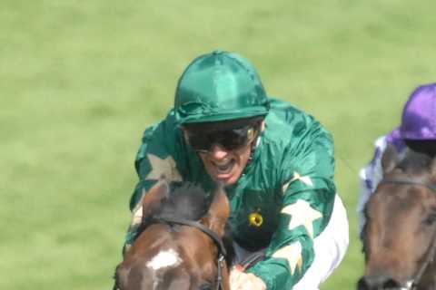 Racehorses worth £20 MILLION set to be resold after Derby-winning owner disappears without paying for them