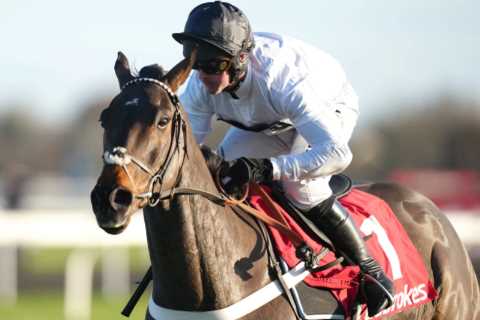 Constitution Hill ‘almost certain’ to break 70-year-old Cheltenham Festival record for shortest-priced winner ever