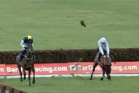 ‘It was extraordinary’ – Ruby Walsh among thousands stunned by ‘shocking’ horse race