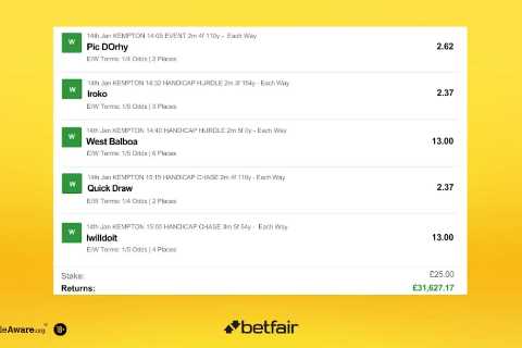 Horse racing punter makes more in an hour than Cristiano Ronaldo does at Al-Nassr after monster five-fold comes in