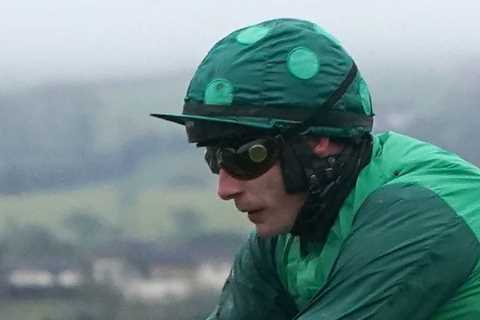 ‘I’ll lump on wherever he goes’ – Templegate’s huge 629-1 Cheltenham Festival treble