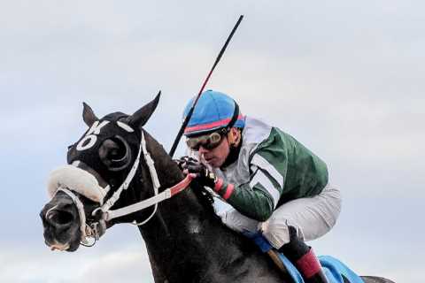 Top jockey rushed to hospital for emergency surgery after having finger bitten off by HORSE in freak incident
