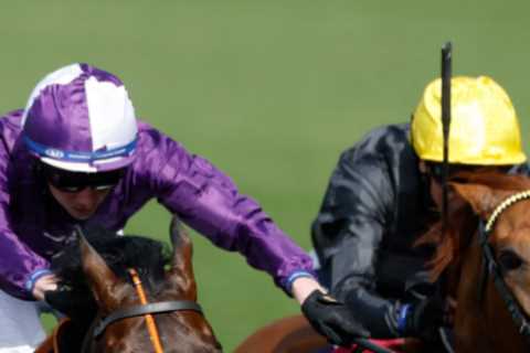 Aidan O’Brien says top stayer Kyprios to miss chunk of season but has positive news on Classic horses
