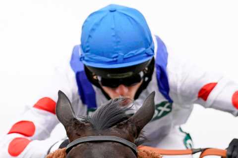 ‘We’ve run out of time’ – Sir Alex Ferguson’s best horse forced to miss big race at Aintree