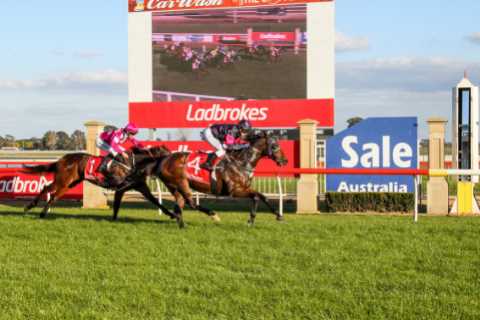 Racecourse handed huge fine after young jockey, 22, is killed in horror accident while riding at night