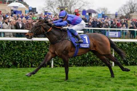 I landed one of the biggest racing bets EVER with £440,000 jackpot – but this dreaded rule stopped me winning even more