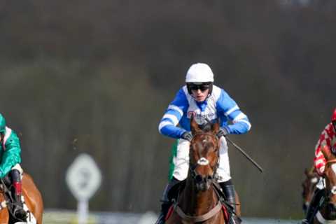 Horse trainer Paul Nicholls forced to eat words after ’embarrassing’ prediction