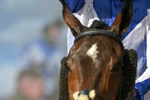 When is the Irish Grand National and what TV channel is it on in the UK?