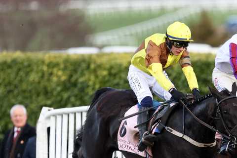Bravemansgame OUT of Aintree run after last minute shock intervention over owner issue