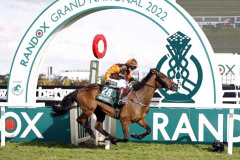 What horses is Harry Redknapp running in the Grand National 2023?
