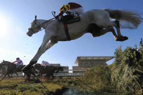What grey horses are running in the Grand National 2023 and when was the last time a grey horse won?