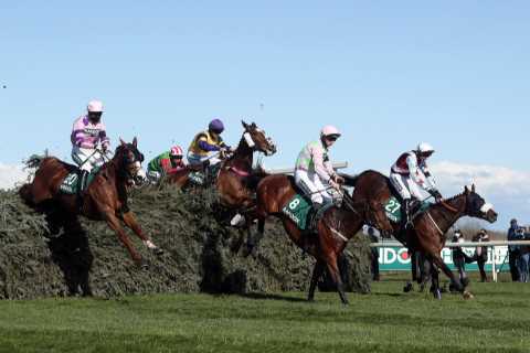 Animal rights protesters try to attack Grand National but shoot themselves in the foot in a weird week for racing