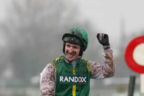 I bought a horse for just £1,200 on a used CAR website… now it’s won a fortune at Aintree’s Grand National meeting