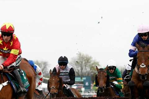 Grand National horse numbers 2023 – full list of runners for HUGE Aintree showpiece race