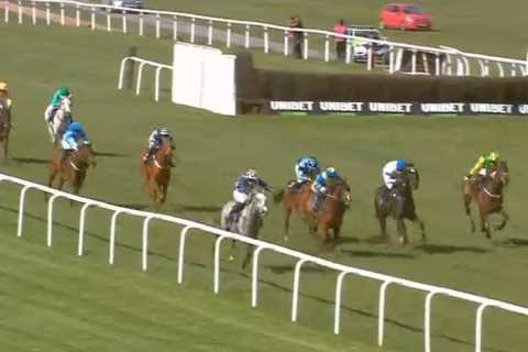 Punters all say they’ve ‘never seen anything like it’ after witnessing 999-1 in-running horse