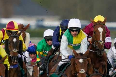 Which Grand National horse to back based on your star sign