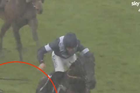 Punters joke this jockey’s ‘dastardly trick’ deserves an award after he accidentally sabotages rival’s ride