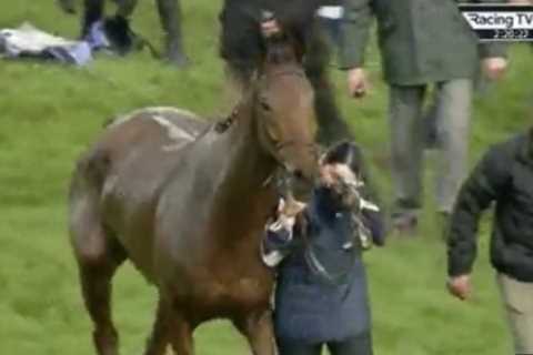 Loving groom who stole hearts with Cheltenham tears after Dysart Dynamo’s fall & recovery opens up on touching incident