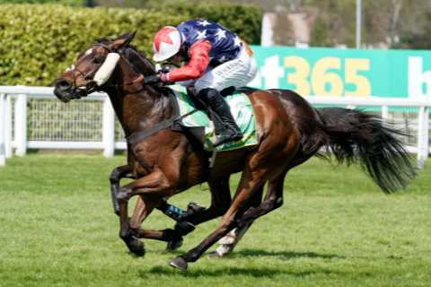 Kitty’s Light wins bet365 Gold Cup for Christian Williams a week after Scottish National as his daughter battles cancer