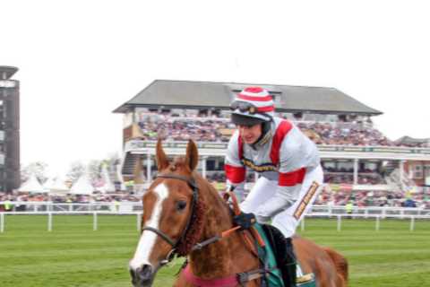 Dream Alliance who won Welsh Grand National against the odds after being brought up on allotment dies aged 22