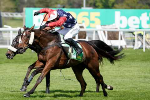 Tote punter wins over £76k from £2 on Scoop 6 with chance to win £113k bonus at Newmarket this weekend