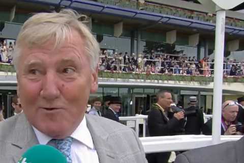 I’m an Arsenal fan who could become a very rich man on Saturday thanks to my ‘unbelievable’ horse