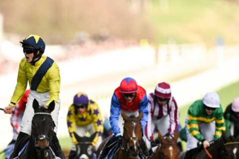 Willie Mullins suffers double tragedy as two horses belonging to same owner sadly die just days apart