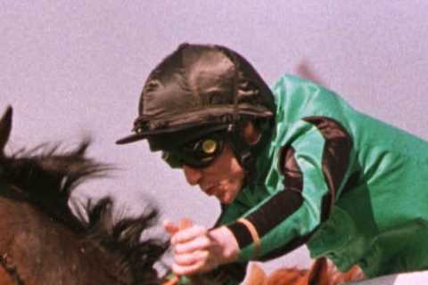 Legendary Gold Cup winner and fan favourite horse Celeric dies aged 31