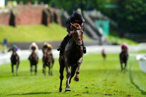 Punters left totally floored as jockeys ‘give up with half a mile to go’ in ‘unusual’ race