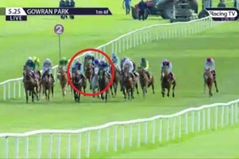 Punters rage over ‘absolutely shocking’ ride that sees trainer fined and even the HORSE banned in farcical scenes