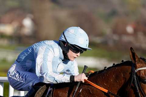 ‘She didn’t hang around!’ – fan favourite and Cheltenham Festival legend Honeysuckle set to become a mum
