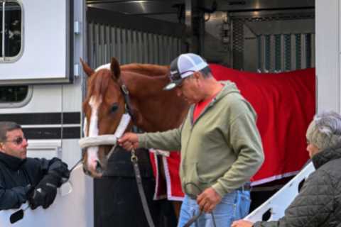 Preakness Stakes horses 2023 – post positions, draw and post time for huge race