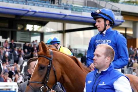 Racing tragedy as Creative Force suffers fatal injury with punters ‘in absolute tears’ over death of top class sprinter
