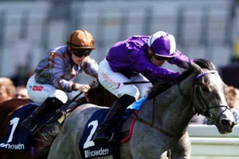 Some owners won’t give me horses because I’m a girl – sexism still exists in racing, says top trainer Alice Haynes