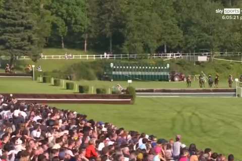 World’s longest horse race descends into total chaos and has to be STOPPED as thousands of bemused punters watch on