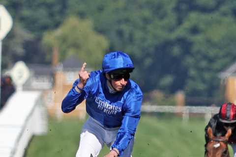 Templegate kicks off brand new tipping column with huge 16-1 pick he’s certain can win Saturday’s big race at Haydock