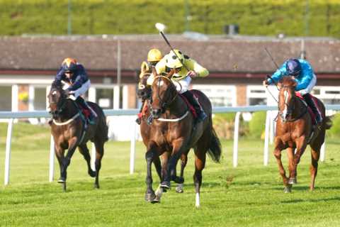 Punters blown away by rocket two-year-old set to take Royal Ascot by storm