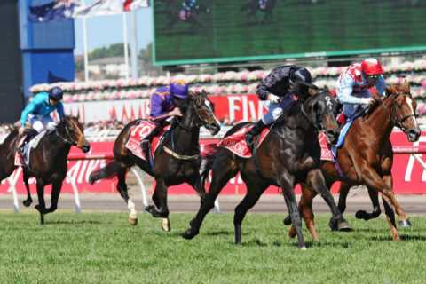 Legendary horse Fiorente dies aged 15 after ‘chronic illness’ leaving racing world ‘devastated’