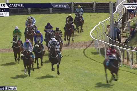 Trainer pleads with trolls to stop abusing jockey after astonishing mid-race blunder