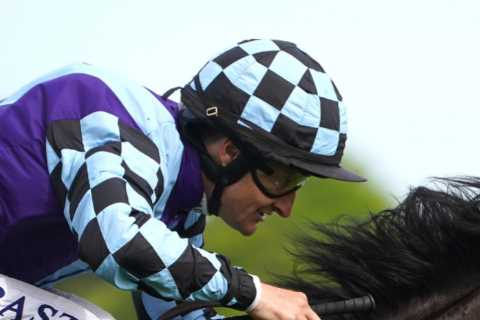 Epsom Derby 2023 runner-by-runner guide, Templegate’s tip and 1-2-3 prediction for £1.5million feature
