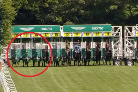 Huge racing controversy erupts as trainer whose horse finished last demands race be voided after new footage emerges