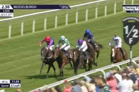 Jockey banned for 14 days after winning race as sport reaches boiling point over massive suspensions for new rules
