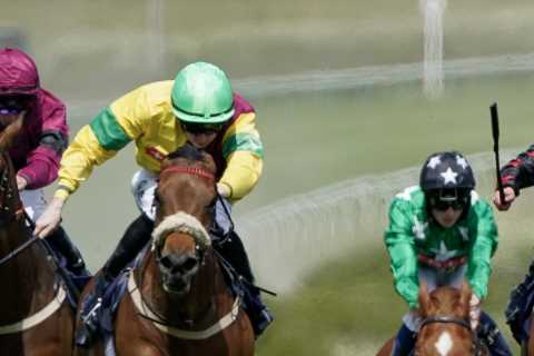 Punters slam ‘amateurish’ mistake at Brighton with FOUR non-runners in field of six just 30 minutes before the off