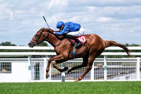 Charlie Appleby plots audacious Royal Ascot course for his ‘thinking’ horse Breeders’ Cup hero