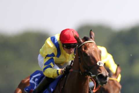 Three Tote Scoop6 winners bag £43,000 each and get shot at HUGE £155,061 bonus race this Saturday