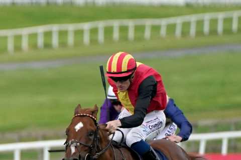 Leading Australian owner apologises after HUGE backlash to ‘cruel’ video criticising Irish trainer following purchase