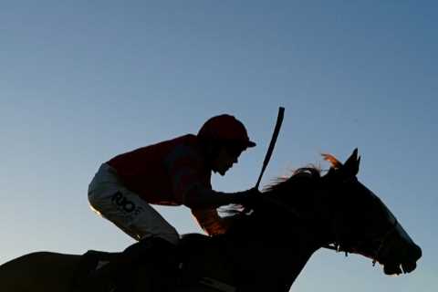 Popular jumps trainer quits after 18 years to become horse dentist saying he has been ‘priced out’ of the sport