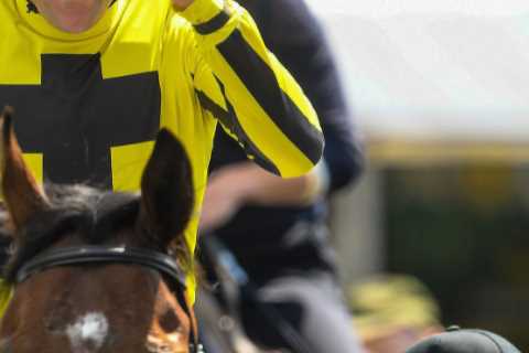 Racing genius dubbed ‘King Con’ makes mind-blowing profit on measly £9,500 horse