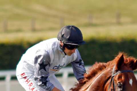 Tyson Fury to make unexpected sporting return to Royal Ascot tomorrow after long time out of action